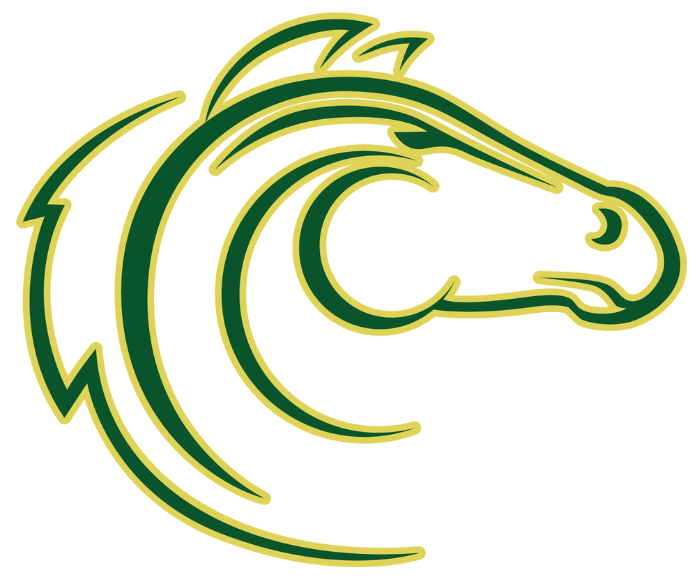 State Volleyball Information 2022